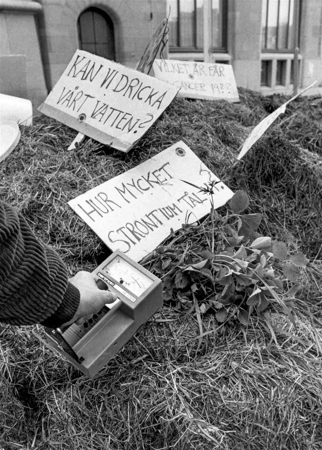 Den radioaktiva strålningen i ett lass nyskördat gräs mäts med en geigermätare efter att lantbrukare från Ådalen tippat av gräset, som innehåller höga värden av cesium, utanför Rosenbad i Stockholm den 5 juni 1986. ”Vid någon tidpunkt blev framtiden vår generations svar på Tjernobyl”, skriver Malcom Kyeyune.