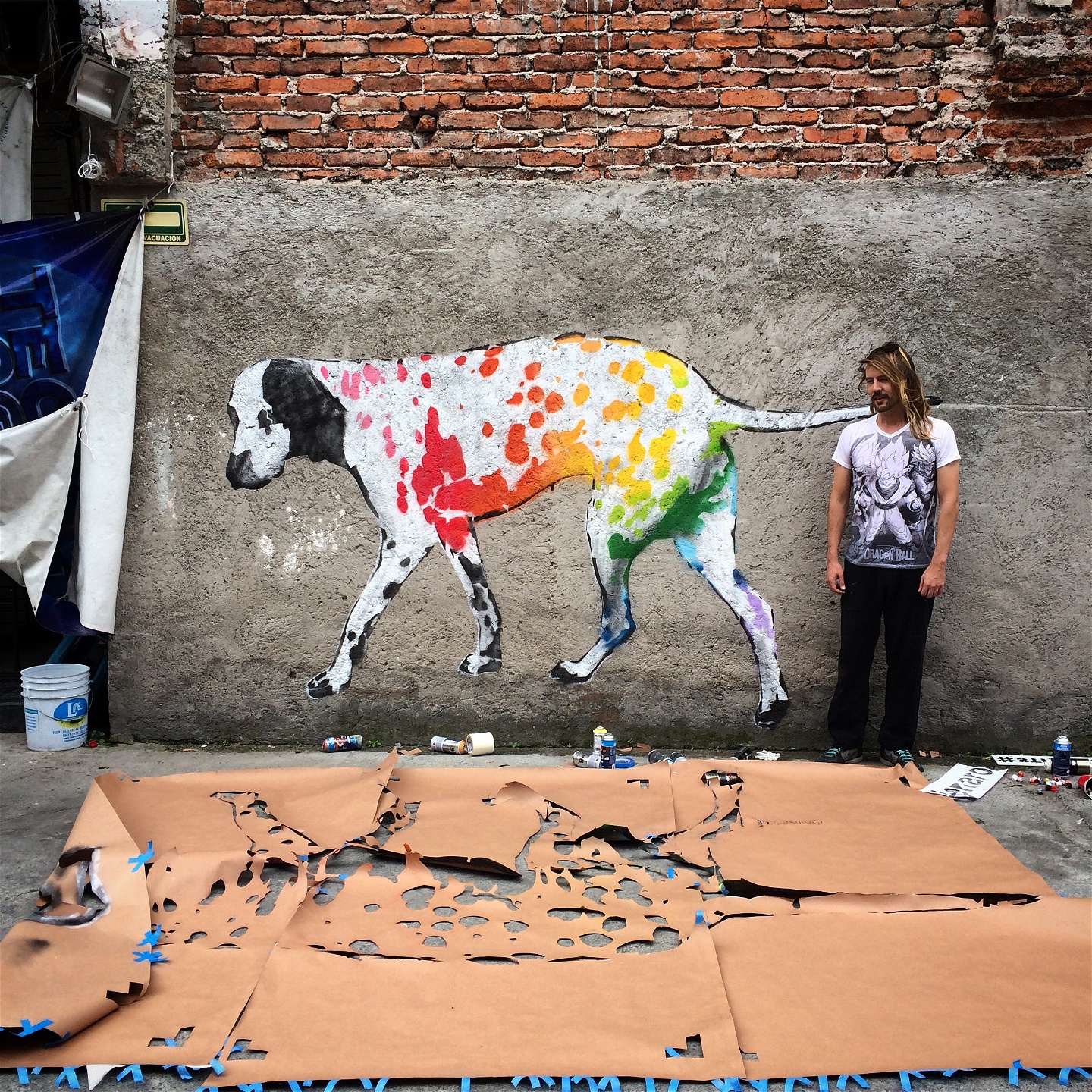 Jenaro de Rosenzweig, från Streetart Chilango, har målat sin färgglada signaturhund på flera ställen i Mexiko City och på andra platser världen över.