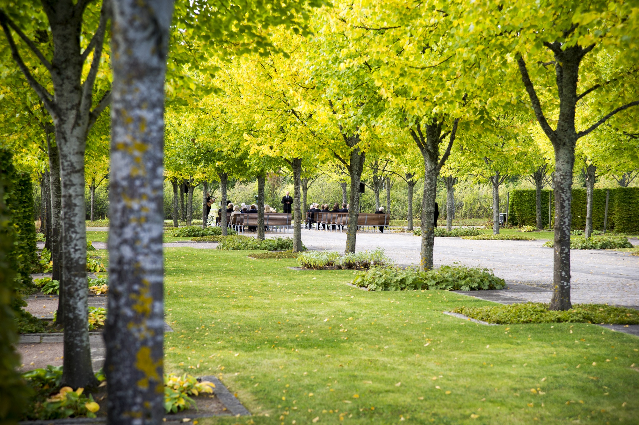 Trädkyrkan, en utomhuskatedral med träd planterade som en spegelvänd Uppsala domkyrka. Den är öppen för alla oavsett tro eller kulturell bakgrund.