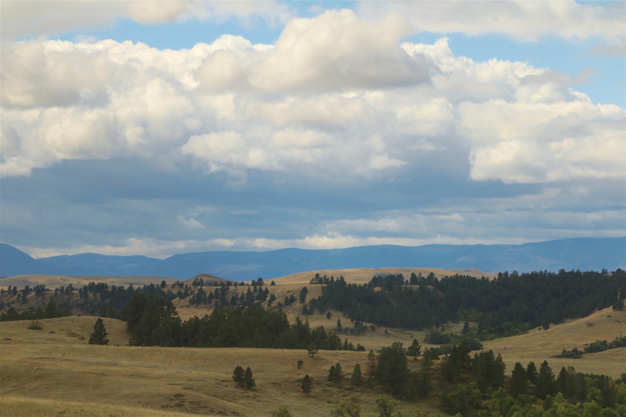 Crowindianernas reservat, Big Horn County, Montana.