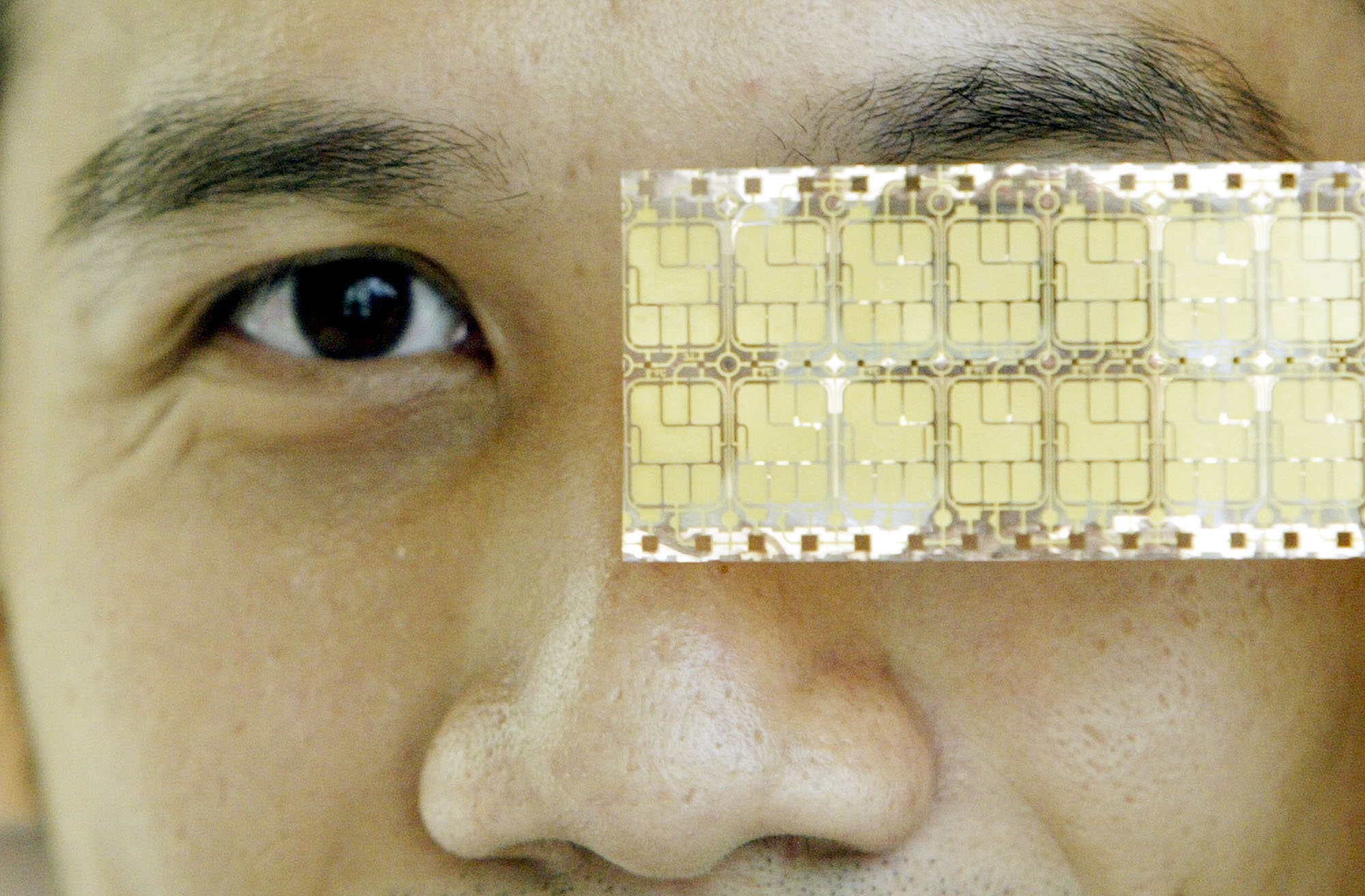 Ett biometriskt chip som är gjort för att monteras in i pass. Det kan innehålla information som fingeravtryck, irismönster och fotografier av passets innehavare. 