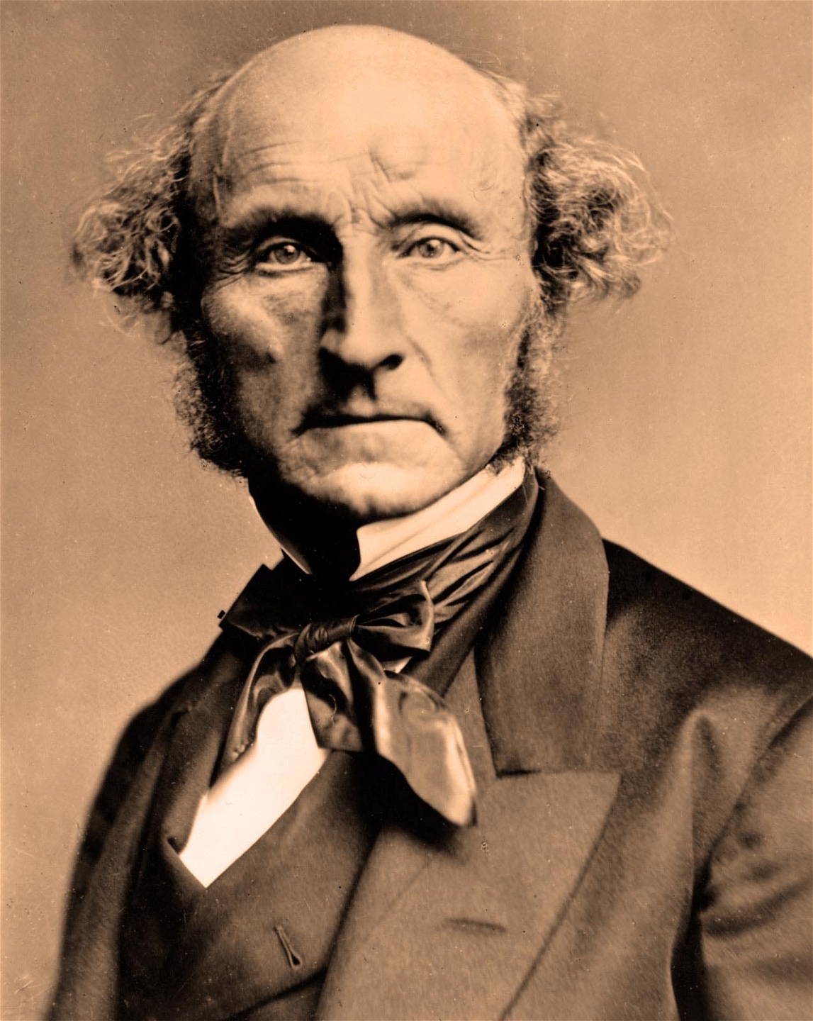 Enligt 1800-talsliberalen John Stuart Mill skulle det politiska deltagandet hjälpa människor att anta ett bredare perspektiv på samhällets problem, utbilda dem i tekniska och vetenskapliga frågor, och öka deras känsla för det allmänna bästa.