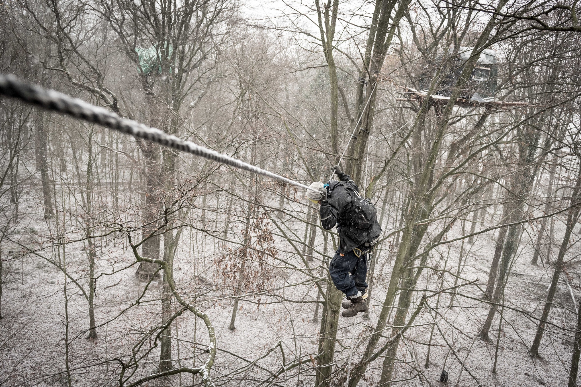 Aktivisterna i Hambachskogen kommer från många olika länder och har byggt kojor högt uppe i träden.