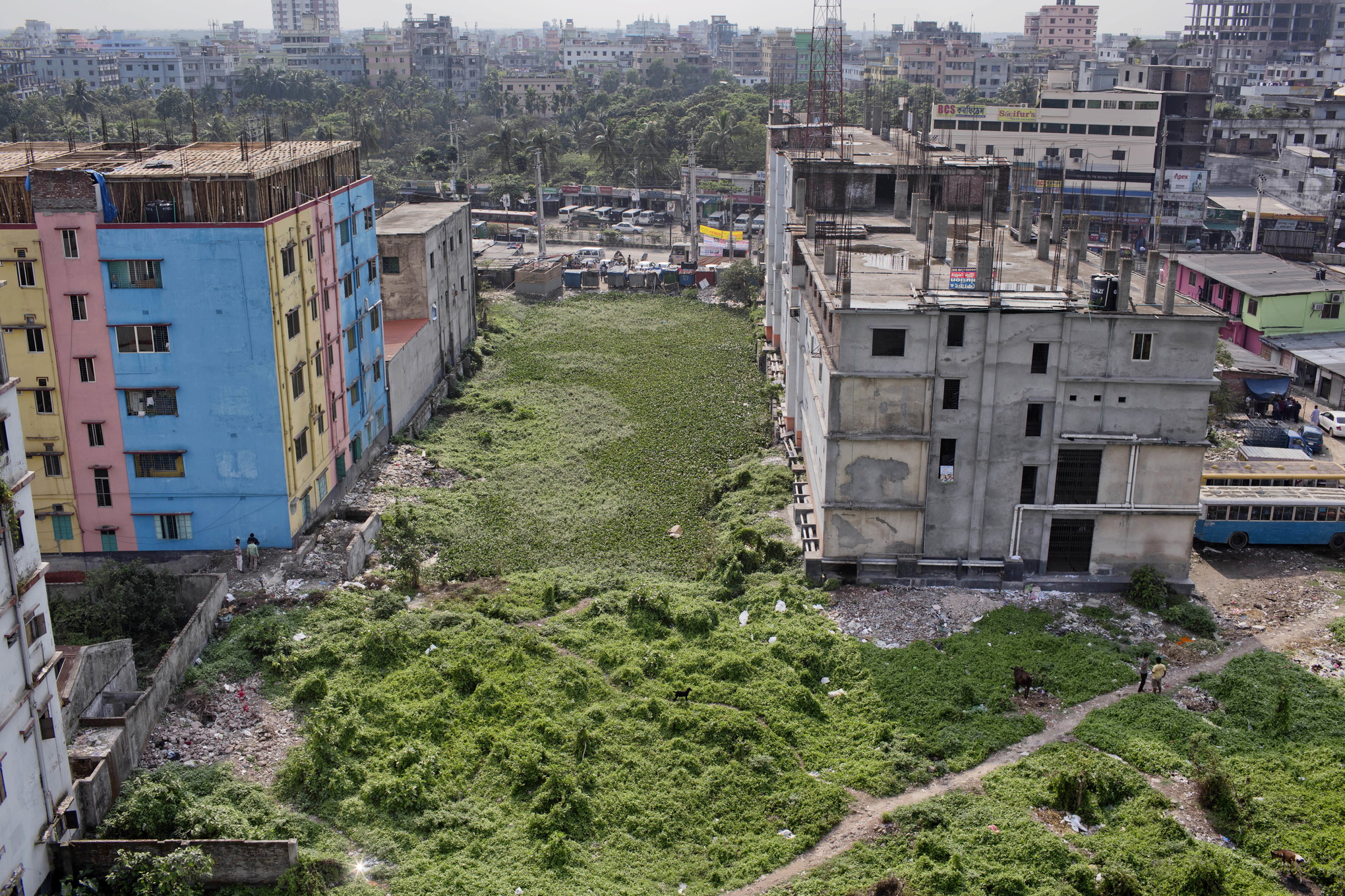 En gång låg textilfabriken Rana Plaza här. Nu, fem år efter raset, täcker buskar och ogräs platsen.