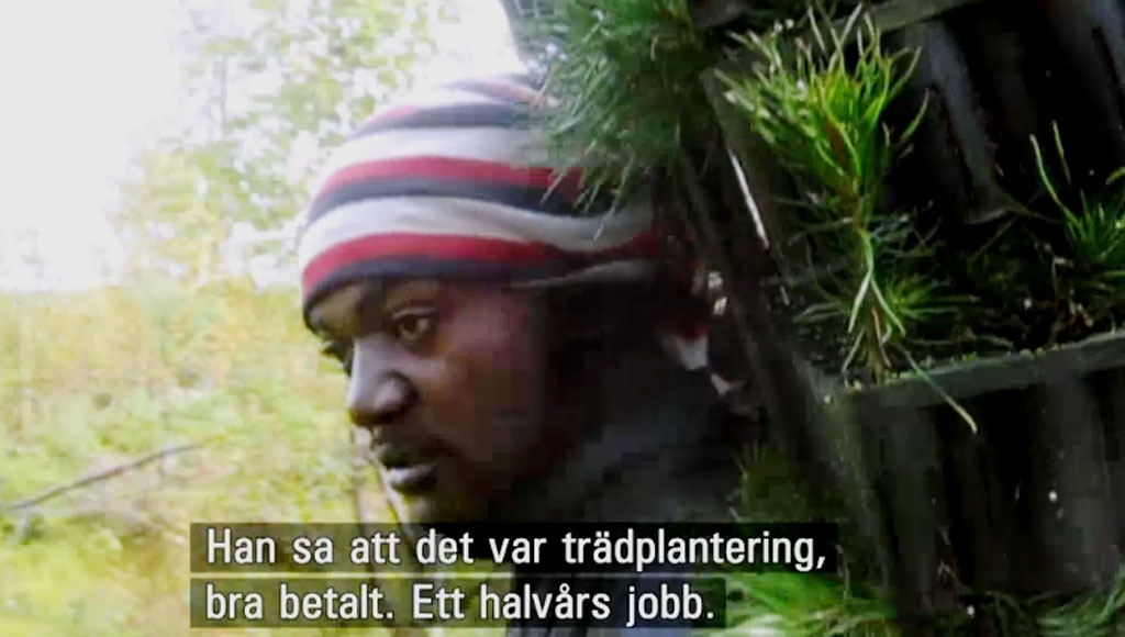 Utdrag ur Uppdrag gransknings program den 13 mars i år om de kamerunska skogsarbetarna.