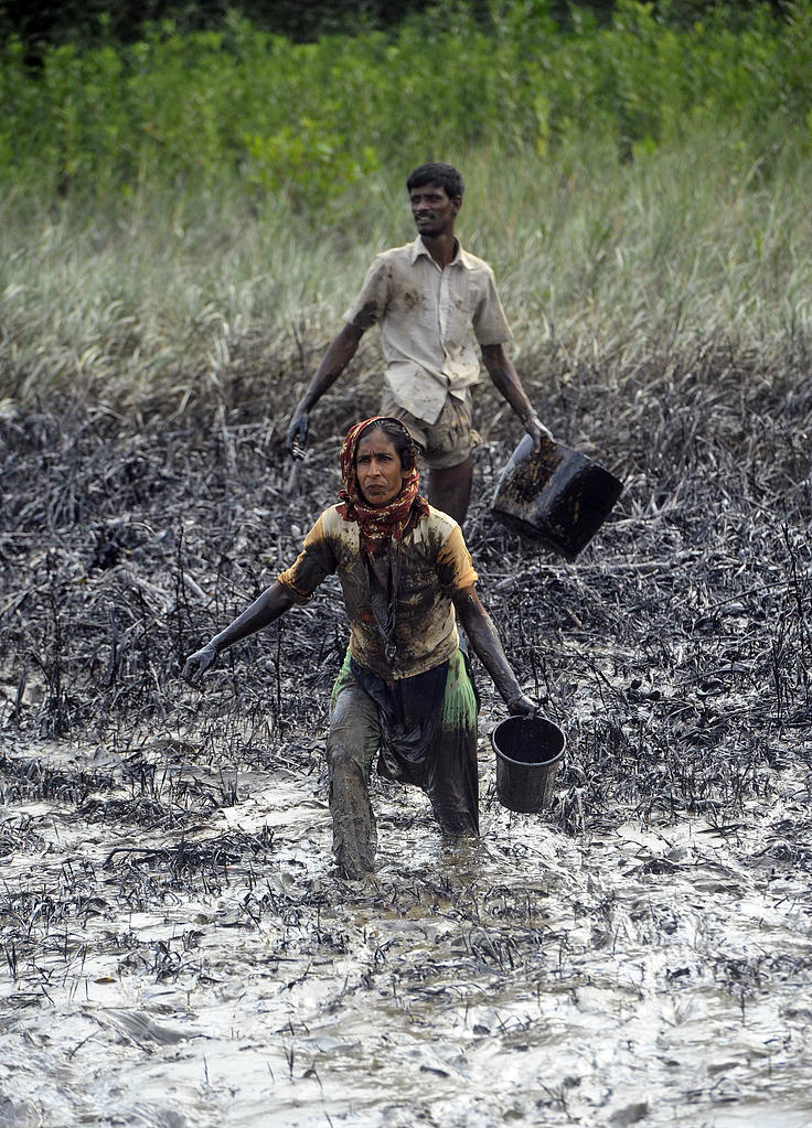 Bybor i Joymani i Bangladesh försöker samla upp olja efter att en oljetanker havererat i Sundarbarns 2014.