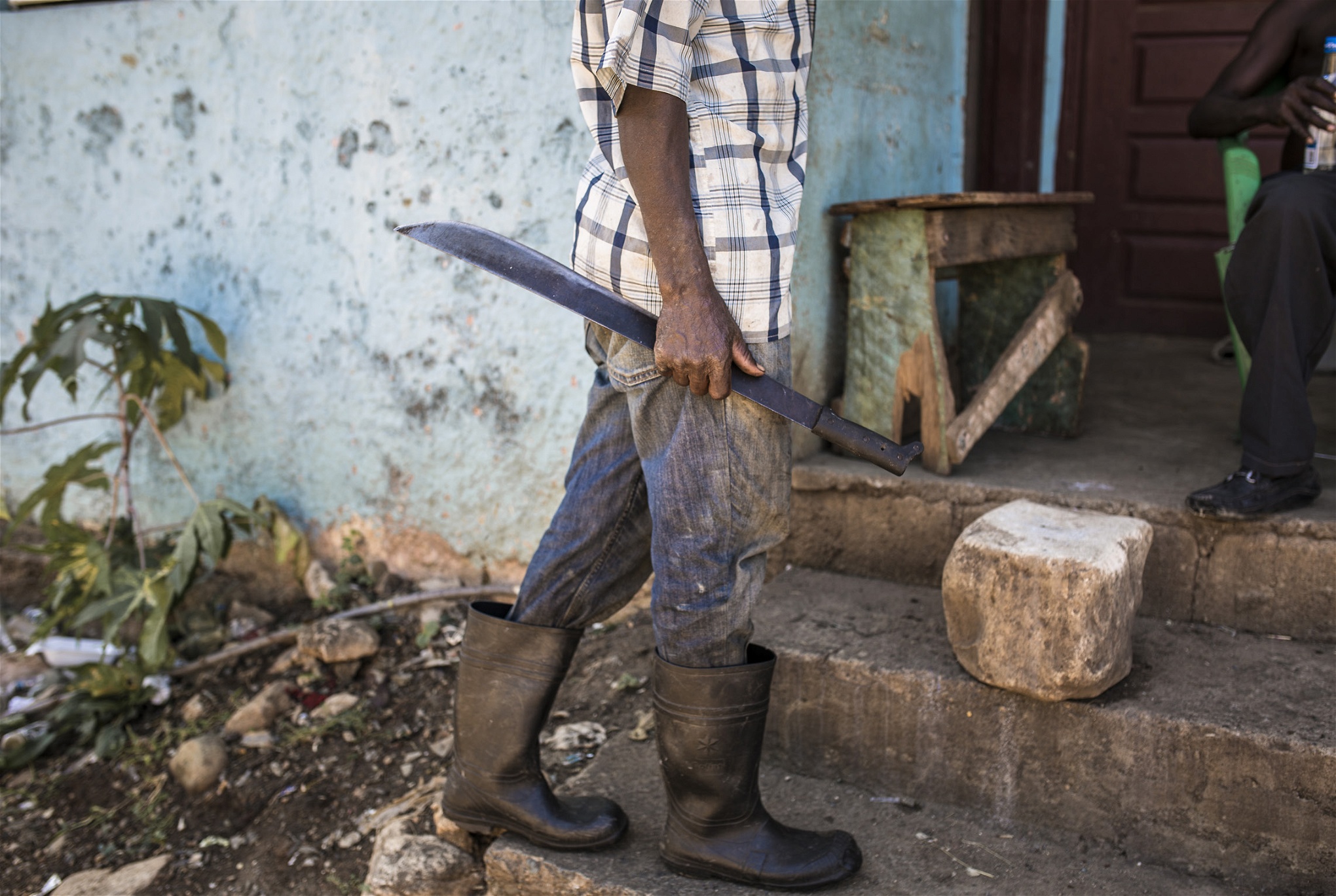 Arbetet på sockerrörsfälten är hårt och utan arbets- eller uppehållstillstånd har de
haitiska arbetarna få rättigheter. Lönerna är låga och det händer att de i stället får sin betalning i matkuponger som bara kan lösas ut i arbetsköparnas egna butiker.