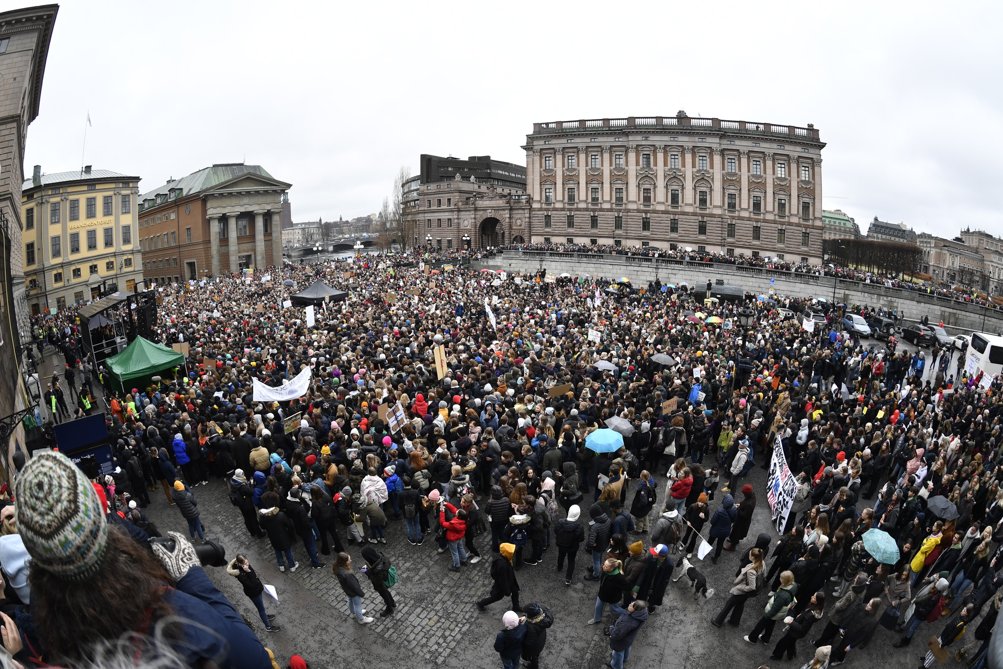Demonstranter som deltar i den globala klimatstrejken