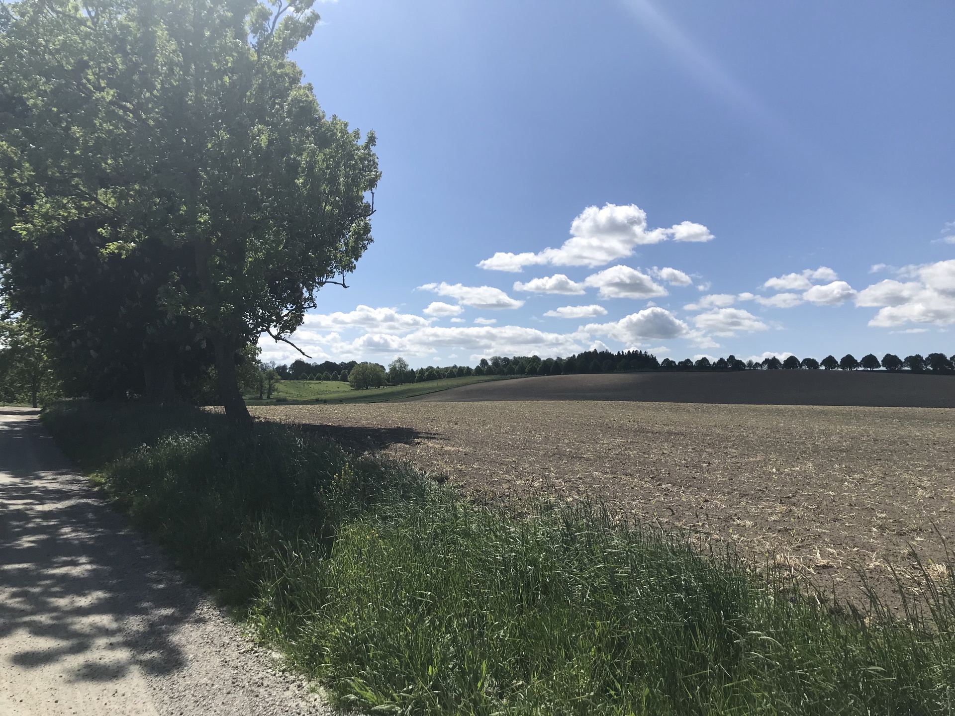 I Torup var det promenadavstånd mellan statarnas bostad och slottet.