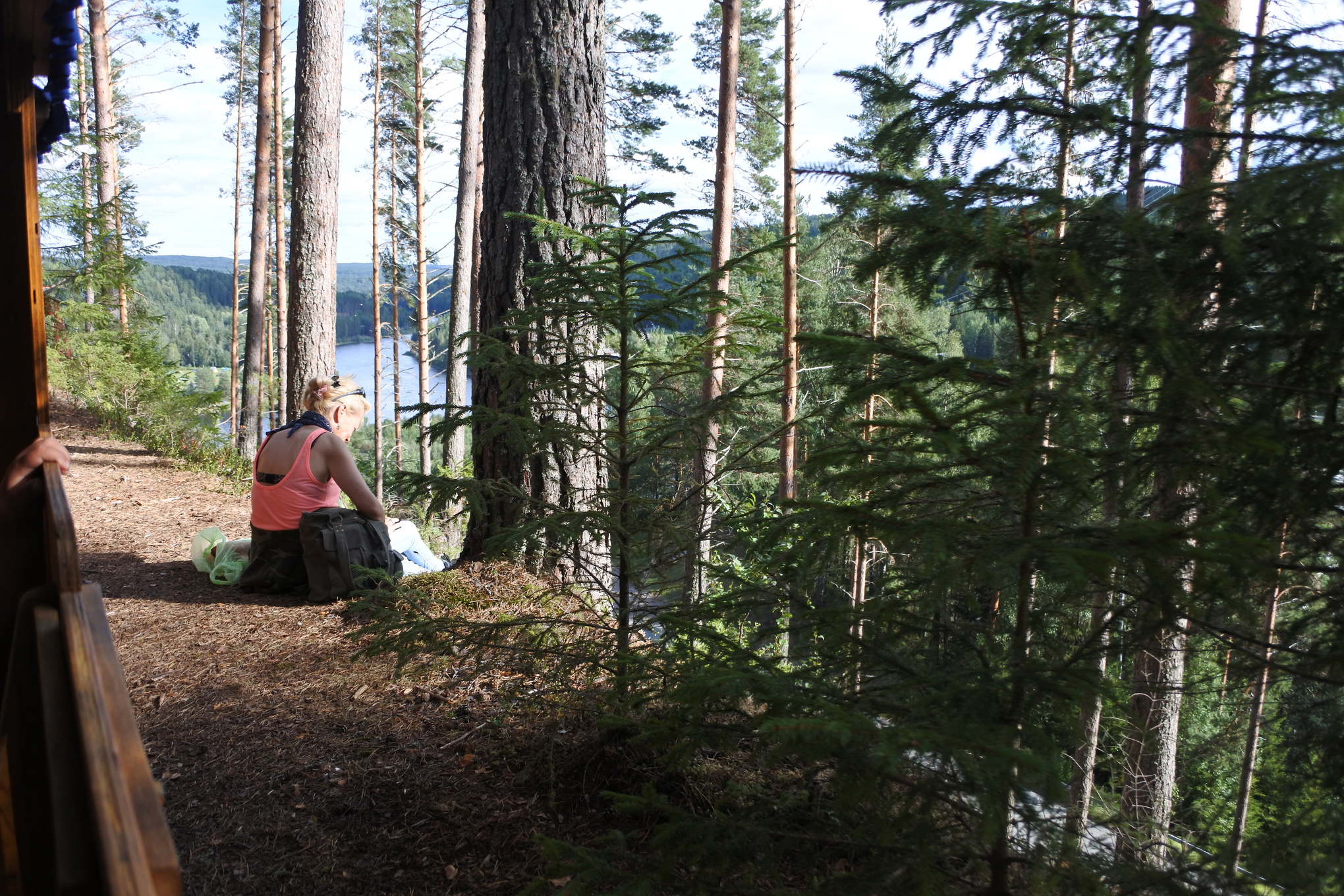 Festivalområdet ligger vackert på höjderna intill Ångermanälven och Nämforsen, i kanten av byn Näsåker.