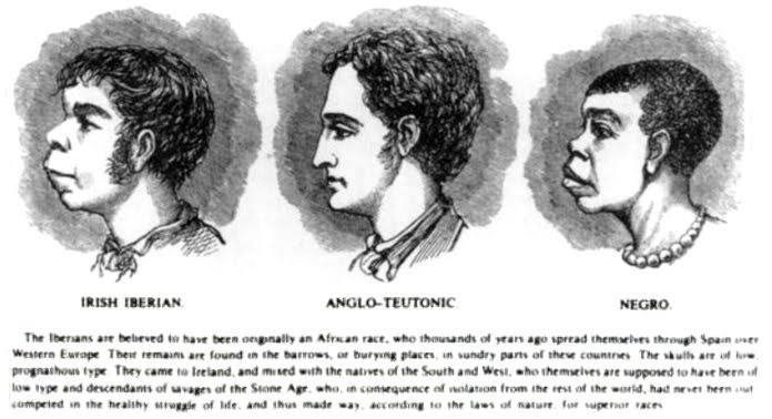 Illustration ur H. Strickland Constables Ireland from One or Two Neglected Points of View.