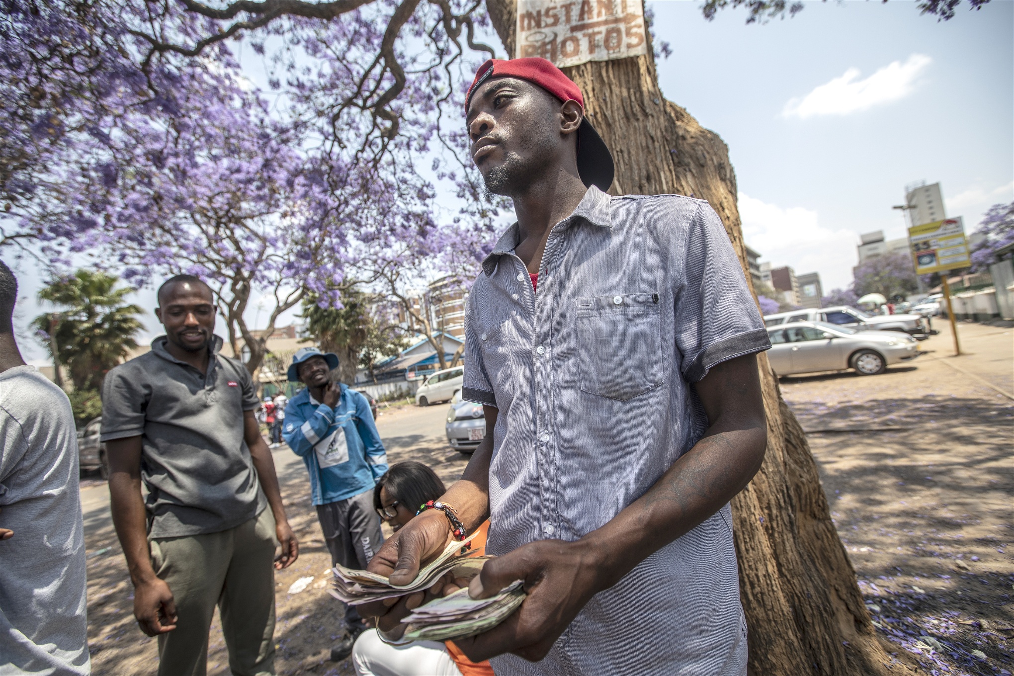Under ett jakarandaträd i Harare står Walter Supiga, valutaväxlare på svarta marknaden.