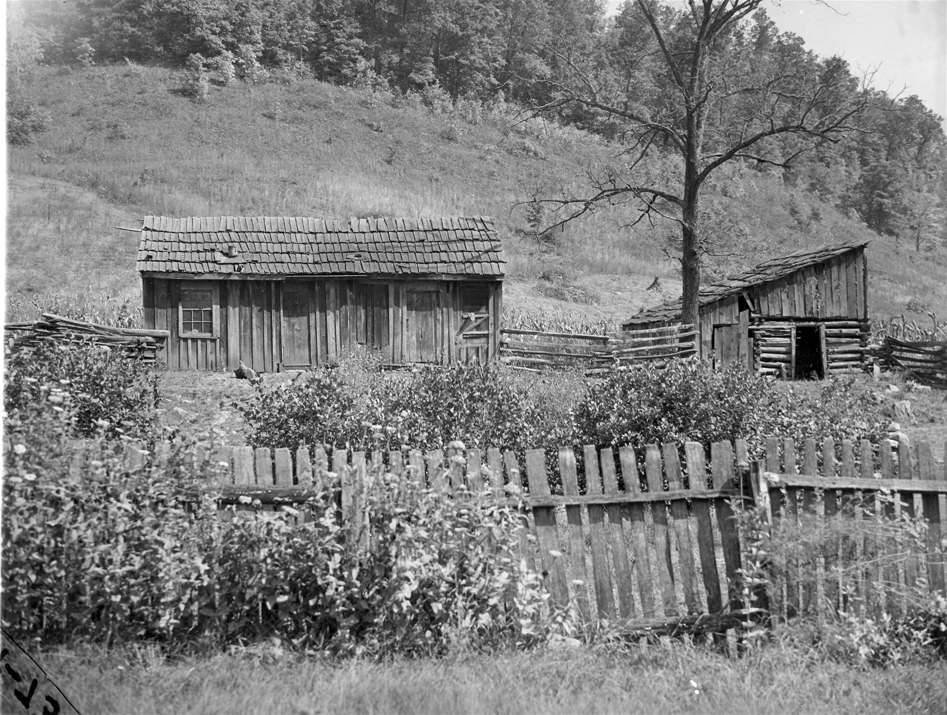 En bostad på landsbygden i Cumberland, Kentucky 1937. Här levde en fattig arbetarfamilj i skjulliknande hus. 