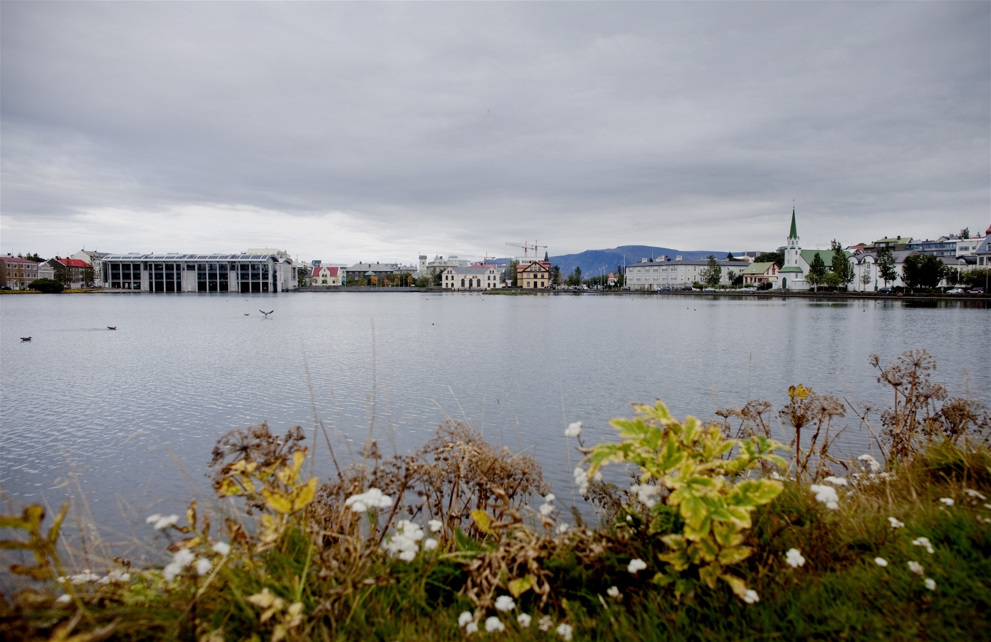 Foto: Kyrre Lien/TT2 500 personer, motsvarande en procent av Islands arbetande befolkning, deltog i försöket.