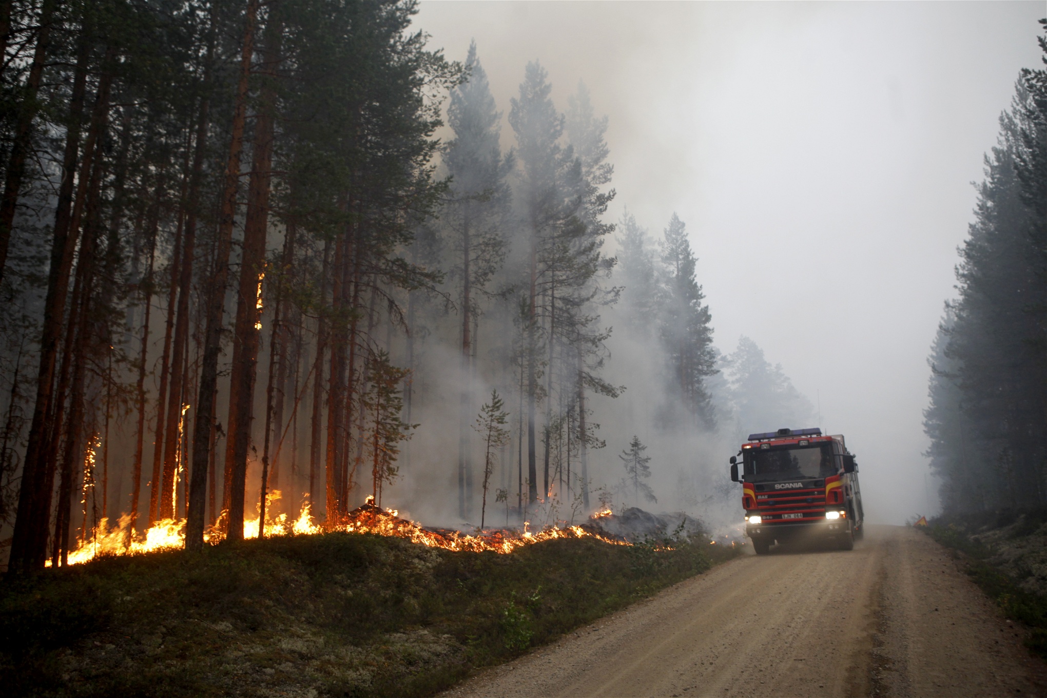 Bränderna som drabbade stora delar av Ljusdals kommun sommaren 2018 var bland de värsta i Sveriges historia. Foto: Mats Andersson/TT