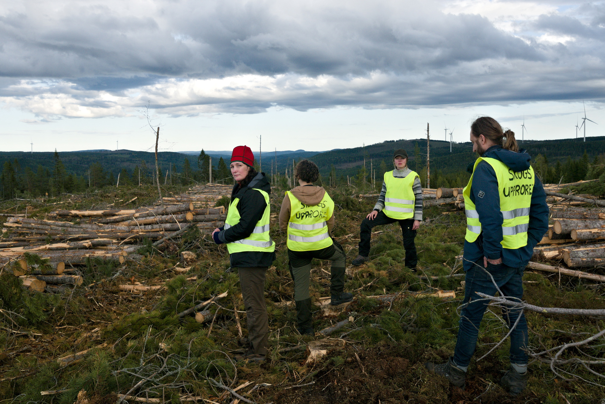 Aktivister i Sapmi