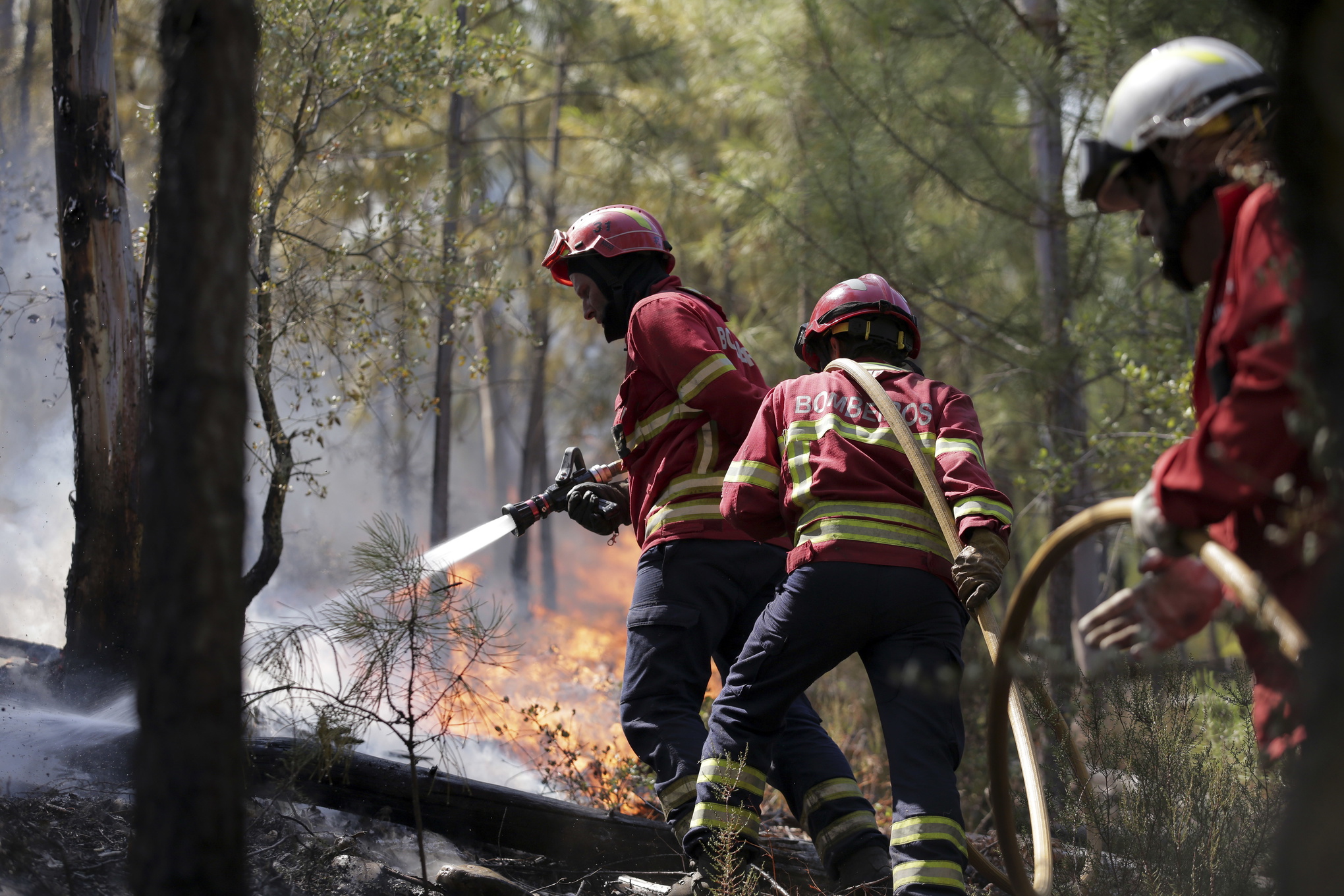 Brandmän i Portugal