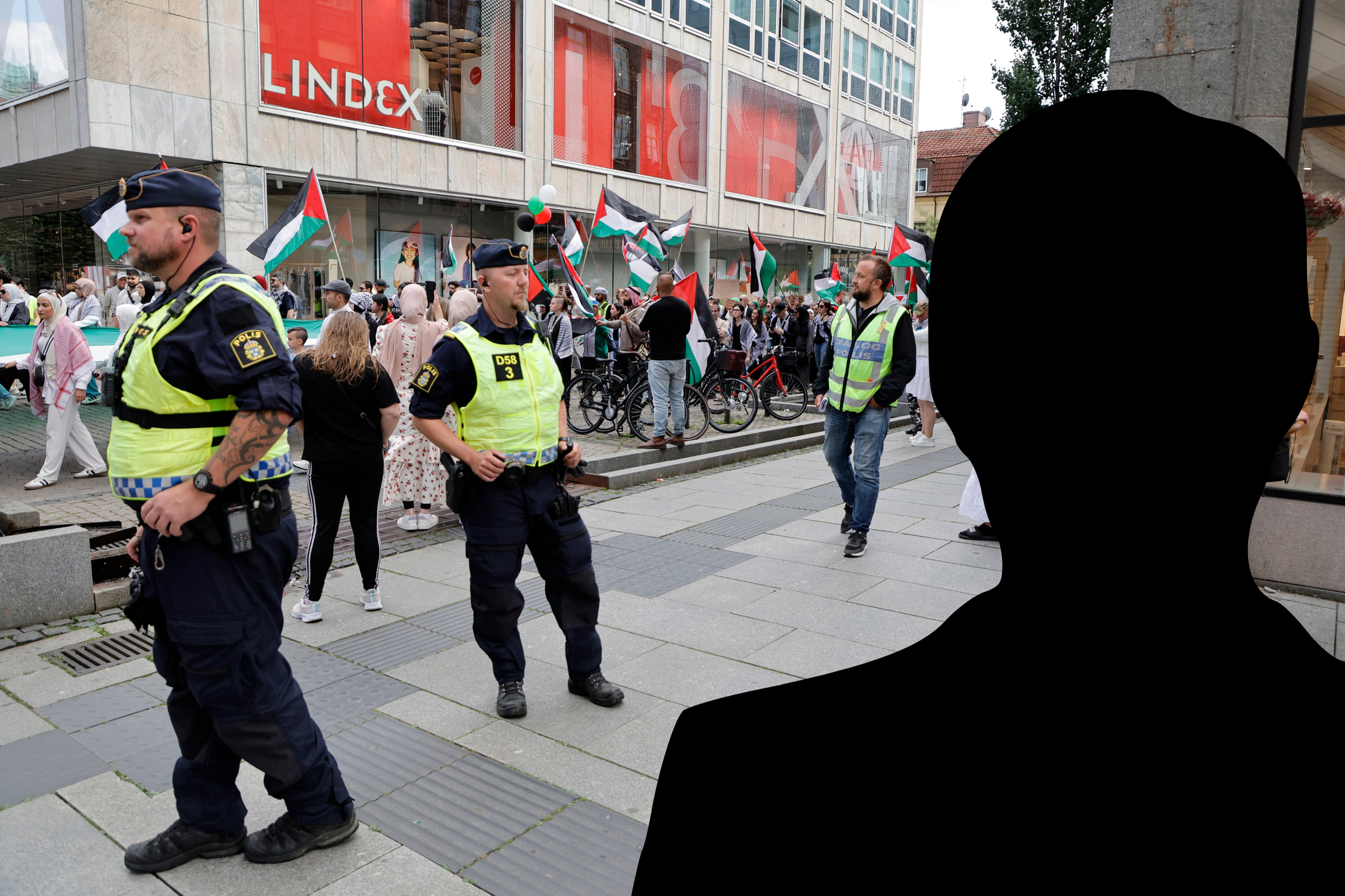 Man döms till fängelse efter att ha kört i ett demonstrationståg för Palestina i Borås
