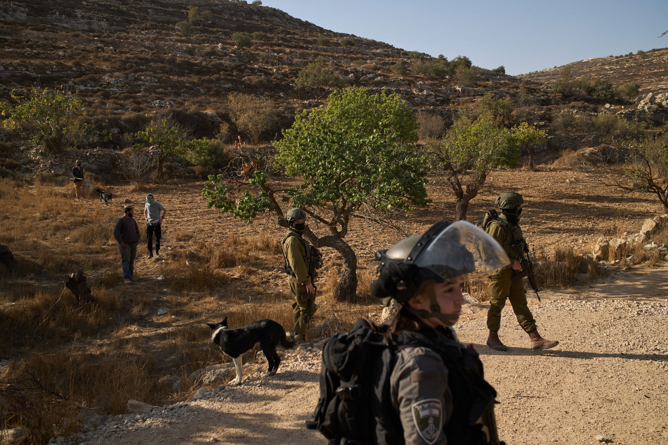 bosättarvåldet på Västbanken har ökat.