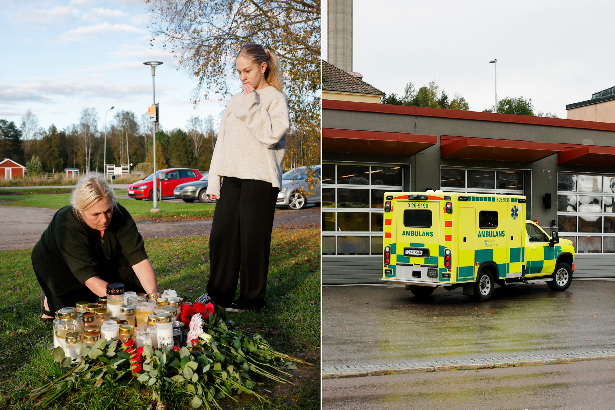Ambulansmord i Harmånger, Hälsingaldn