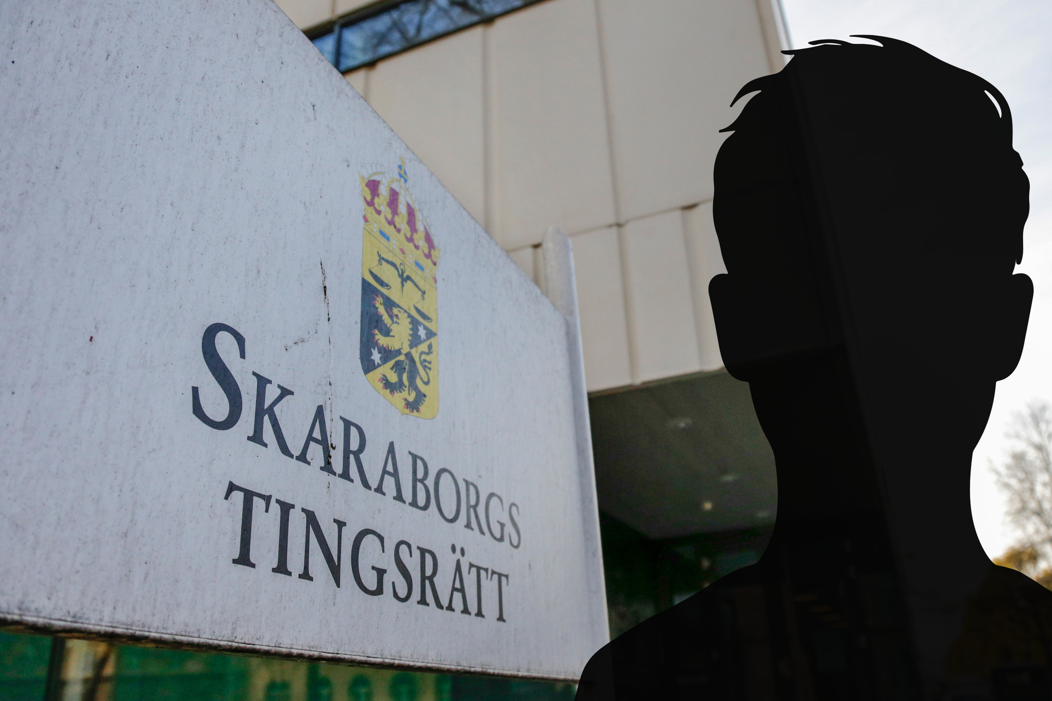 SD-politikern åtalas för flera fall av våldtäkt